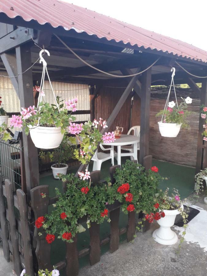 Apartments Hrga Пула Екстер'єр фото